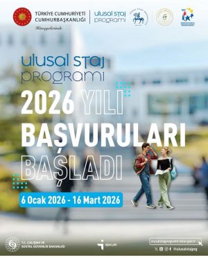 Ulusal Staj Programı